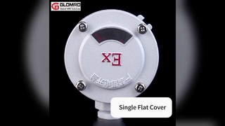 GLO-AH বিস্ফোরণ-প্রমাণ জংশন বক্স