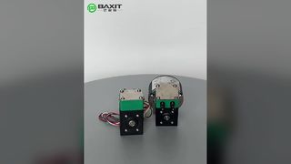 NF30 ডায়াফ্রাম লিগুইড পাম্প