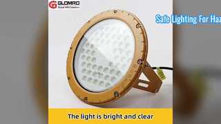 LED বিস্ফোরণ-প্রুফ ফ্লাডলাইট