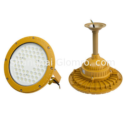 High-quality Explosion-Proof Blast-proof Waterproof 50-300W Round LED Explosion-proof Flood Light IP66 Exde MB IICT6 GB