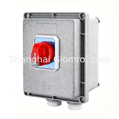 Square 2p Ex-Proof Circuit Breaker with Leakage Protection G1 Thread Die Cast Aluminum IP65 Ex Db Eb Iib T6 GB 10A-63A Residual Current Cutout Device
