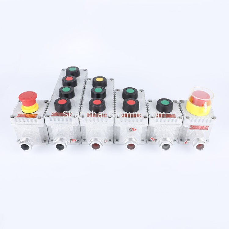 Explosion Proof Control Button WF1 Grade for Hazardous Locations