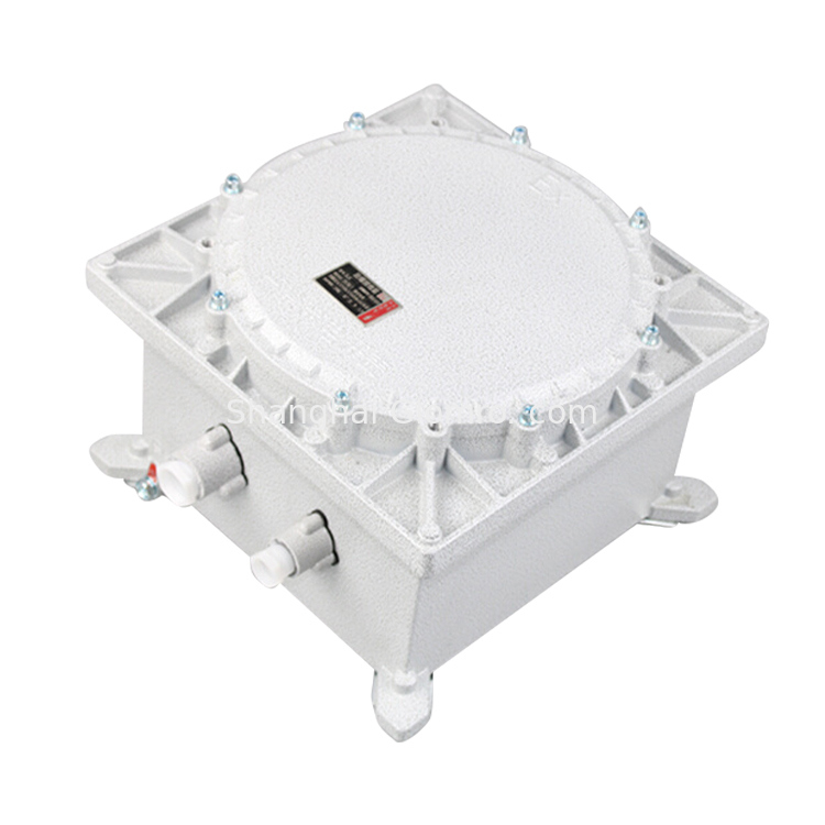 ATEX Explosion Proof Distribution Box Explosion-proof Frequency Converter IIC ATEX Petroleum Industrial Converter Fire Protection Enclosures