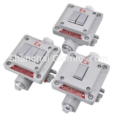 ফ্লেমপ্রুফ টাইপ বিস্ফোরণ-প্রতিরোধী ওয়াল সুইচ পৃষ্ঠ-মাউন্ট বিস্ফোরণ-প্রতিরোধী, ধুলো-প্রতিরোধী এবং জল প্রতিরোধী