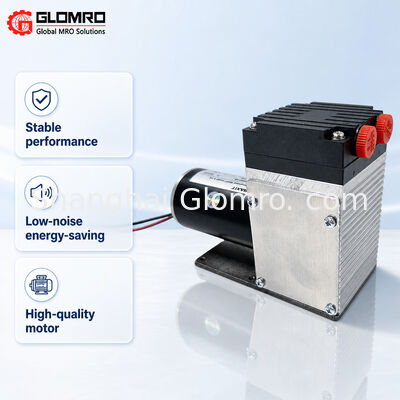 BAXIT PM33387-96 ক্ষয় প্রতিরোধী গ্যাস নমুনা পাম্প সিইএমএস ভিওসি ফ্লু গ্যাস নমুনা জন্য DC24V মাইক্রো ডায়াফ্রাগম পাম্প